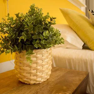 *** Bed & Breakfast Intendente 1865 Portogallo