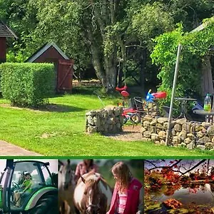  Feriegård Stutteri Skandihest Danmark